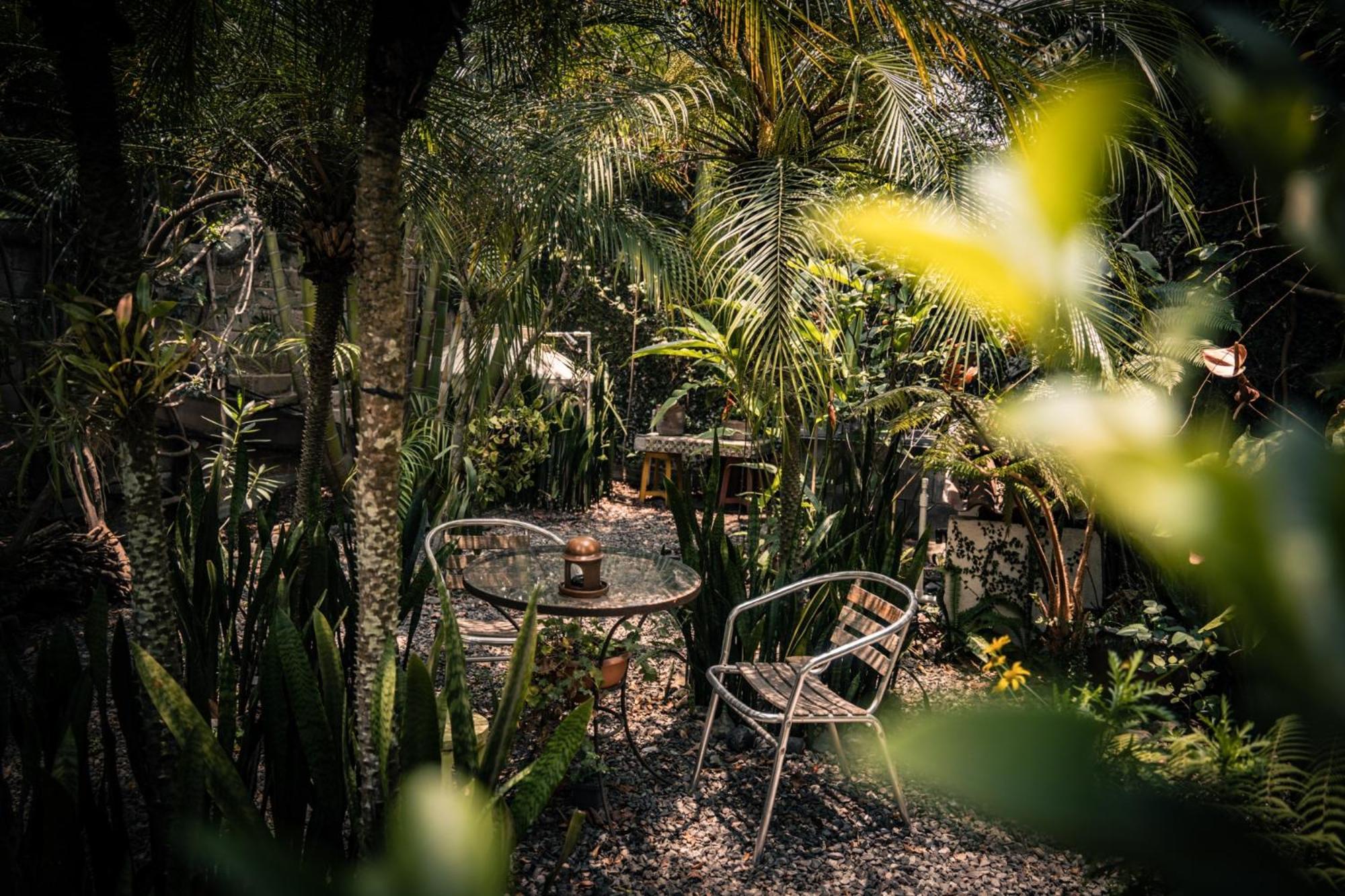 Baraka Antigua Villa Dış mekan fotoğraf