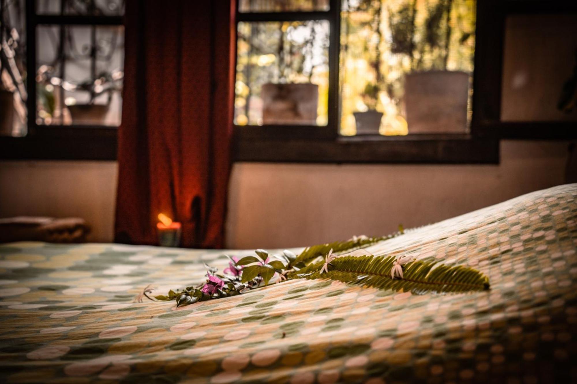 Baraka Antigua Villa Oda fotoğraf